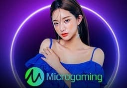 Microgaming